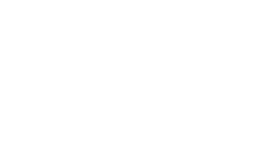 Anua 로고